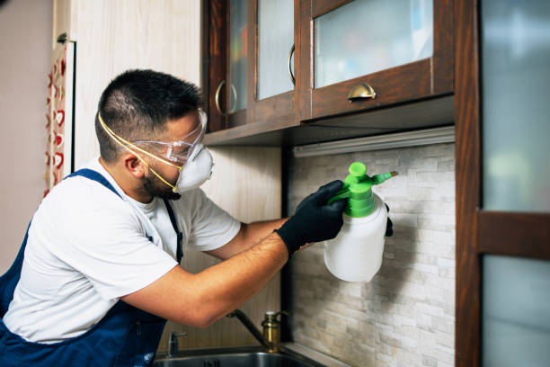 Flea Control Services in Kettering, MD