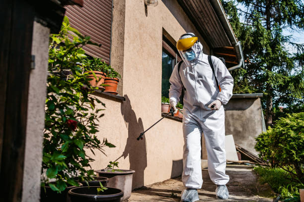 Best Emergency Pest Control  in Kettering, MD