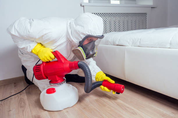 Best Bed Bug Extermination  in Kettering, MD