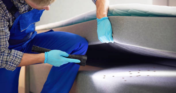 Best Local Pest Control Services  in Kettering, MD