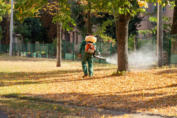 Best Best Pest Control Companies  in Kettering, MD